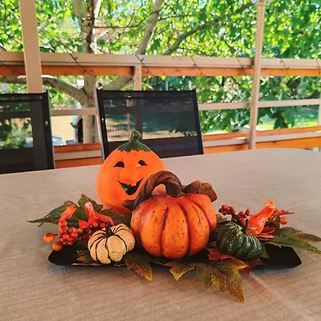 Casa vacanze Csillag Kiskunmajsa