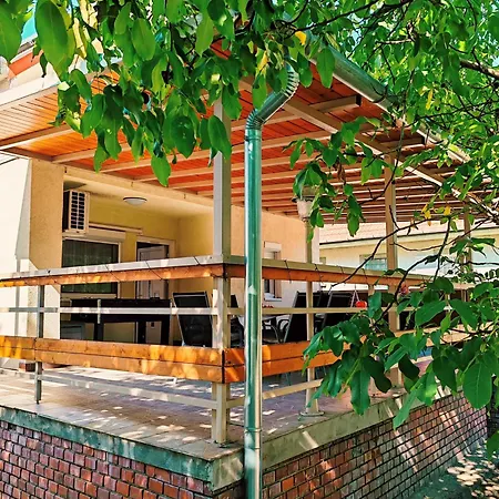 Csillag * Kiskunmajsa